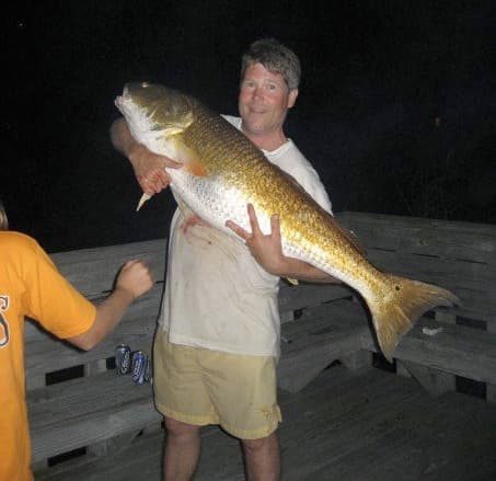 Red Drum