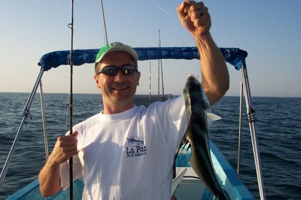 Roosterfish